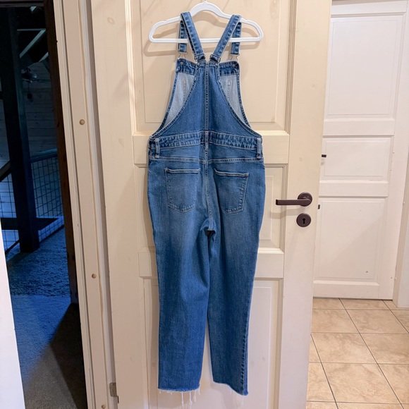 Universal Thread Overalls - Picture 2 of 3